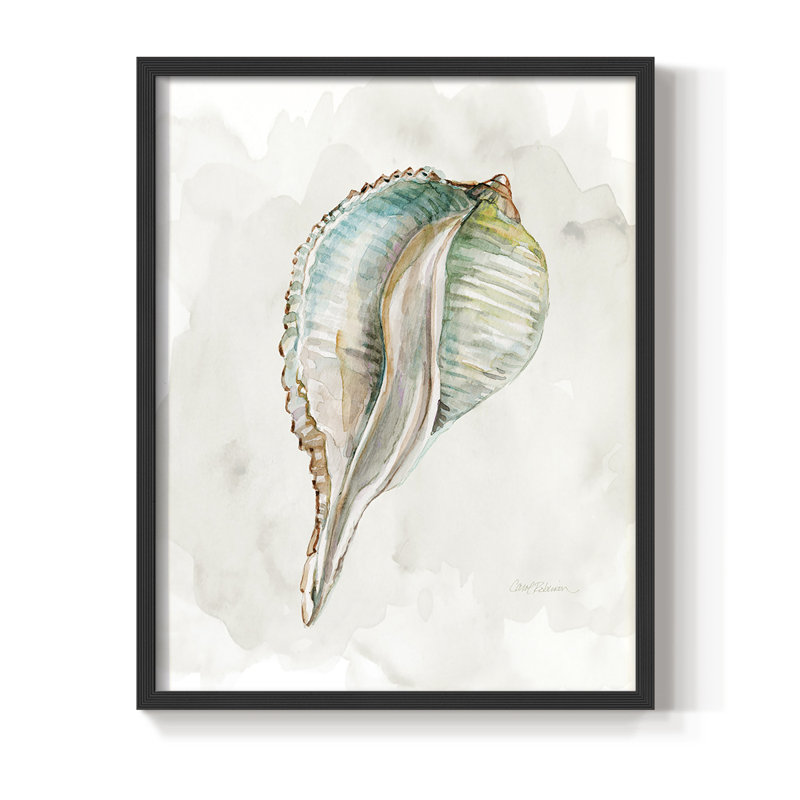 «Pastel Shell I», reproduction encadrée - bois massif, Noir, H 14 po x l 11 po