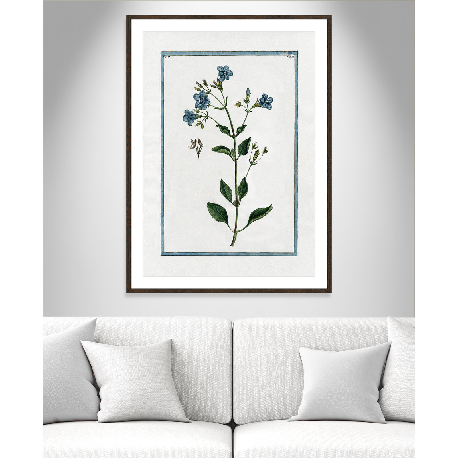 Colombe "Shabby Elegance Botanical II" Print, 29.5" W x 41.5" H, Walnut Framed