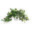 Trailing Ivy in Ribbed Ceramic Vase