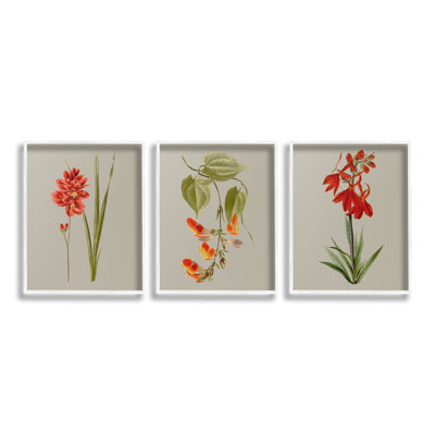 " Woodland Flower Study Single Picture Frame " by Vision Studio 3 - Pieces on Canvas