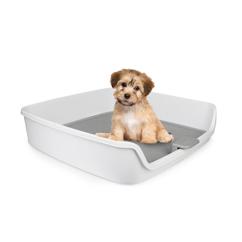 Porte-coussin pour chien