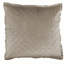 Chloe Velvet Euro Pillow Cover & Insert-26226261
