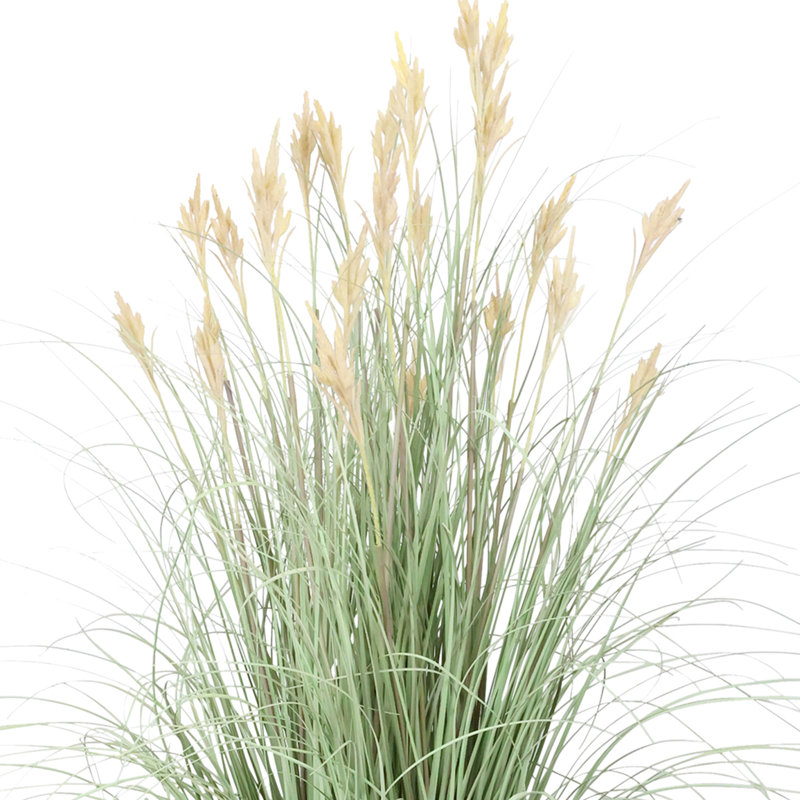Mini Cattail Drop-In Plant