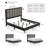 Lujuan Bed With Reading Lights-1645291738