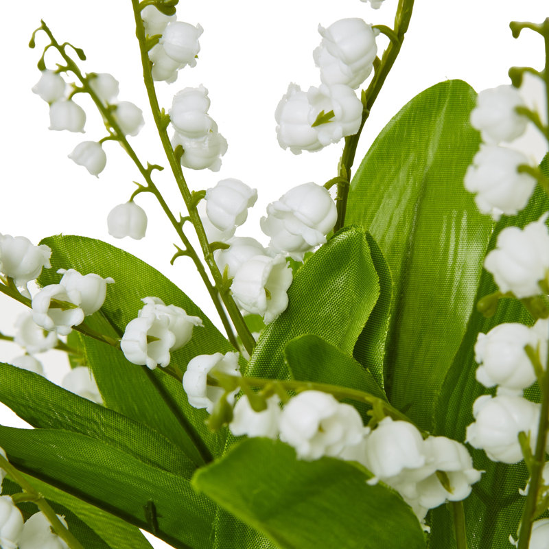 Anastasija Arrangement
