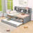 Shavada Twin Size Wooden Daybed with Built-in Bookshelves,Storage Drawers and Twin Trundle-1115464130