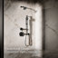 Occasion Single-Function 2.5 Gpm Handshower-282655948