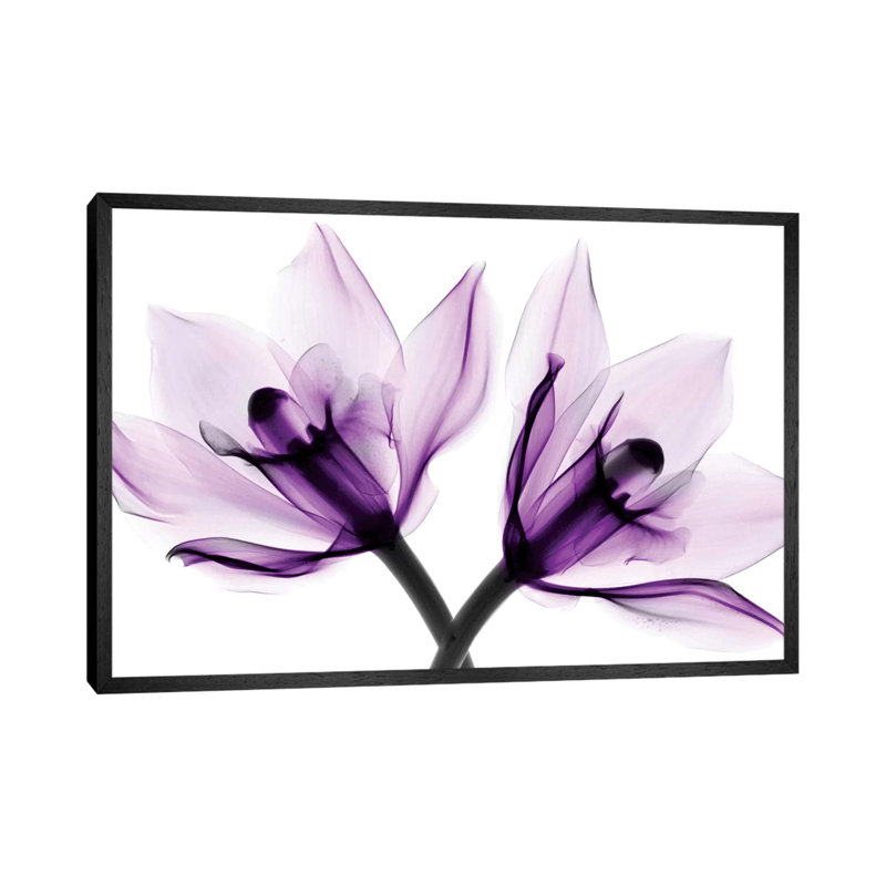 Orchids I by Hong Pham - Print on Canvas, 66.04 cm H x 45.72 cm W, Black Floater Framed