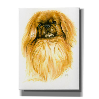 «PekingEse on Canvas» par Barbara Keith, reproduction