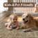 Machine Washable Area Rugs Traditional Living Room Rug With Non-Slip Backing
