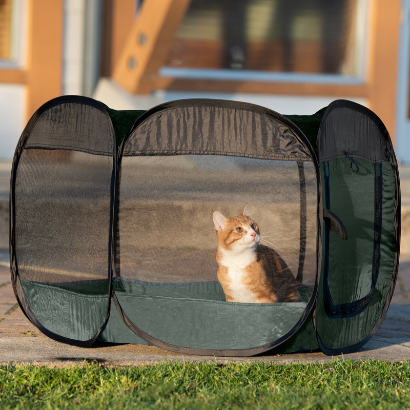 Panel Mesh Pet Playpen With Door, Hunter Green, 23.75" H x 37" W x 31" D