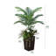 Palmier artificiel Adcock 4 pi - plantes de palmier artificielles résistantes aux rayons UV avec jardinière conique et plantes décoratives-1465593066-1465593070