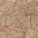 Colwart Flatweave Floral Indoor / Outdoor Rug