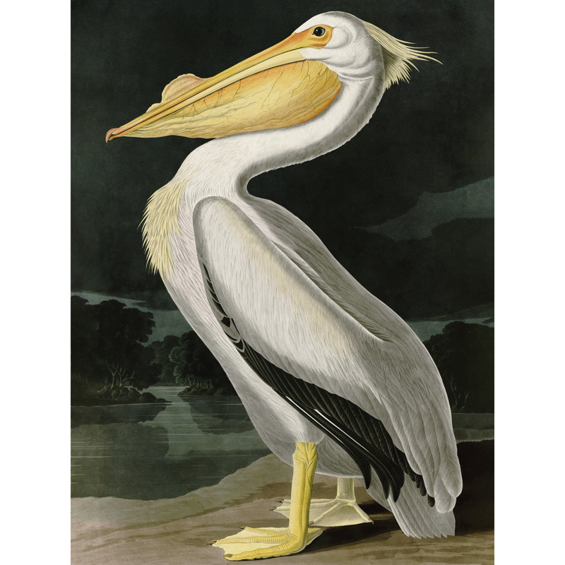 Birds White Pelican 1 Piece Wall Art