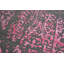 Floral Hand Woven Area Rug-69517009