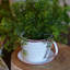 Pot à fleurs Byntlee