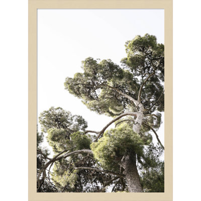 Reshma "Japanese Garden 01" Print