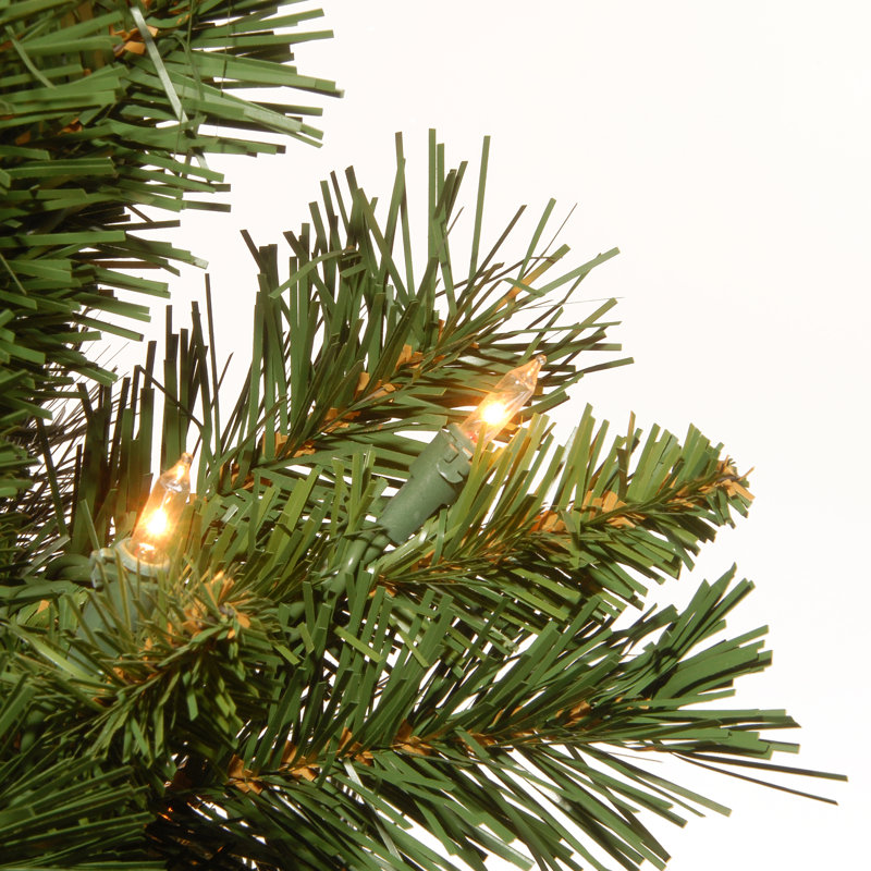 2' White Fir Outdoor Christmas Tree with Lights