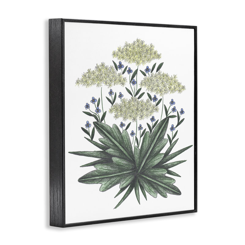 «New Roots», une esquisse rétro giclée par Cecilia Battaini, H 14 po x l 11 po, Giclée encadrée noir minuit
