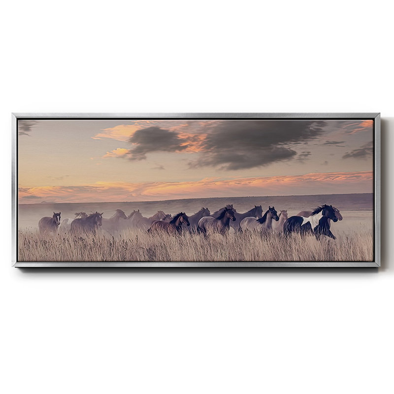 Wild and Free II- Framed Canvas