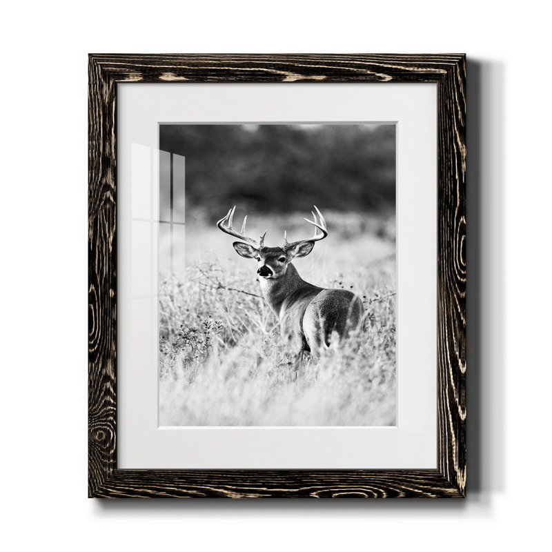 Grasslands - reproduction de photo, H 44 po x l 31 po x P 1 po, Papier encadré noir, Blanc