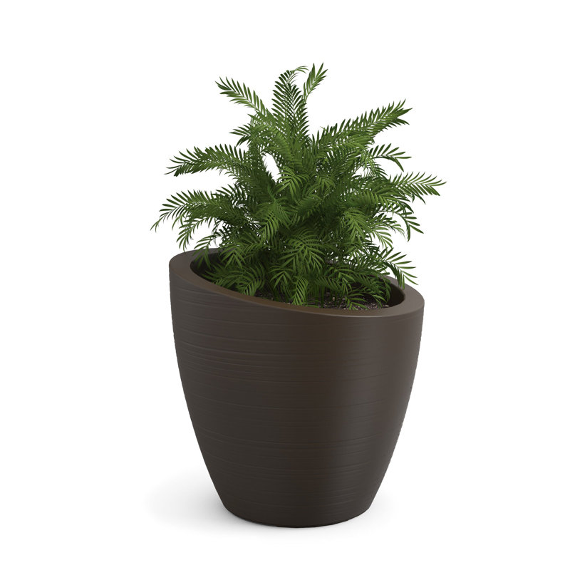 Jardinière en plastique Marazzi, Espresso, H 20 po x l 20 po x P 20 po