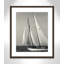 Amaryl Fair Wind par Danita Delimont - reproduction de photo encadrée-59881938-59881932