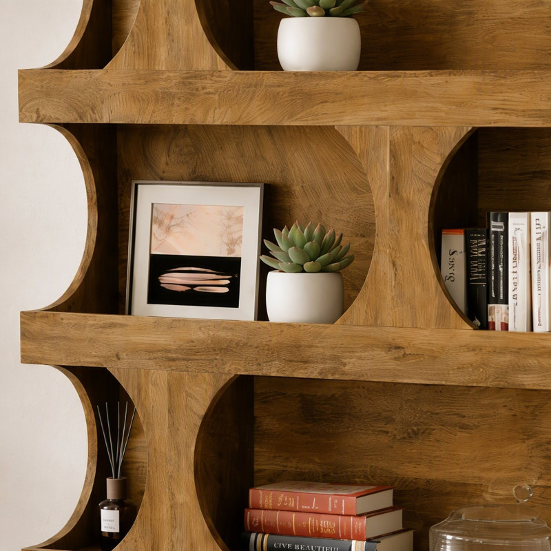 Practical Display Shelves,Bookshelf,S-Shaped Storage Bookcase