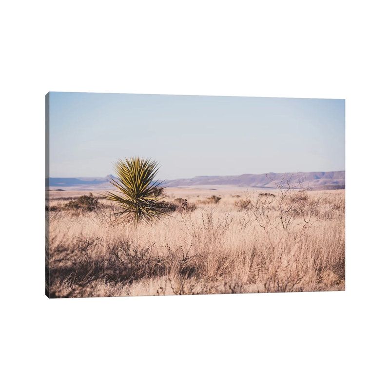 Wildwest by Ann Hudec - Wrapped Canvas Print, 20.32 cm H x 30.48 cm W