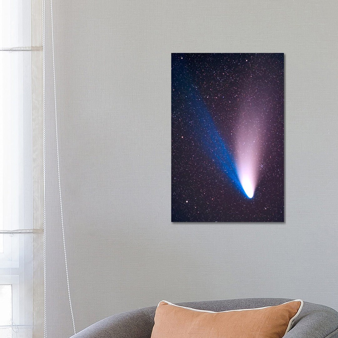 Comet Hale-Bopp, April 7, 1997 by Alan Dyer - Wrapped Canvas Print