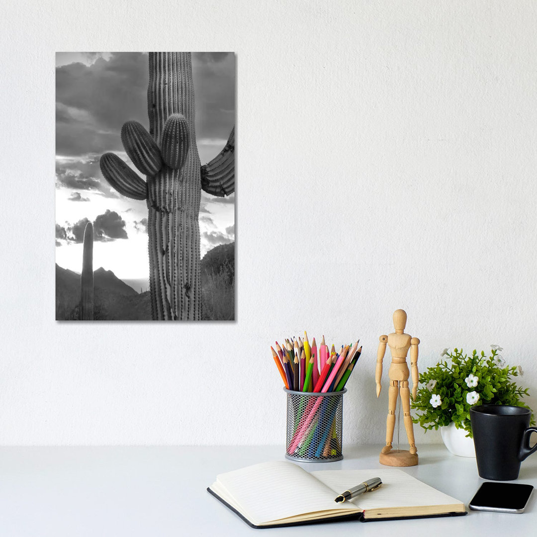 Saguaro Kakteen, Tucson Mountains, Arizona von Tim Fitzharris - Galerie-verpackte Leinwand Giclée auf Leinwand