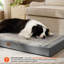 Pet Bed