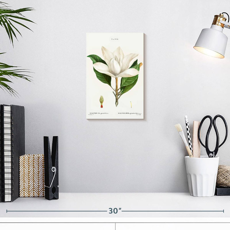 Harnek Magnolia du Sud, H 12 po x l 8 po