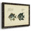 Bloch poisson antique II-490984751-490984750