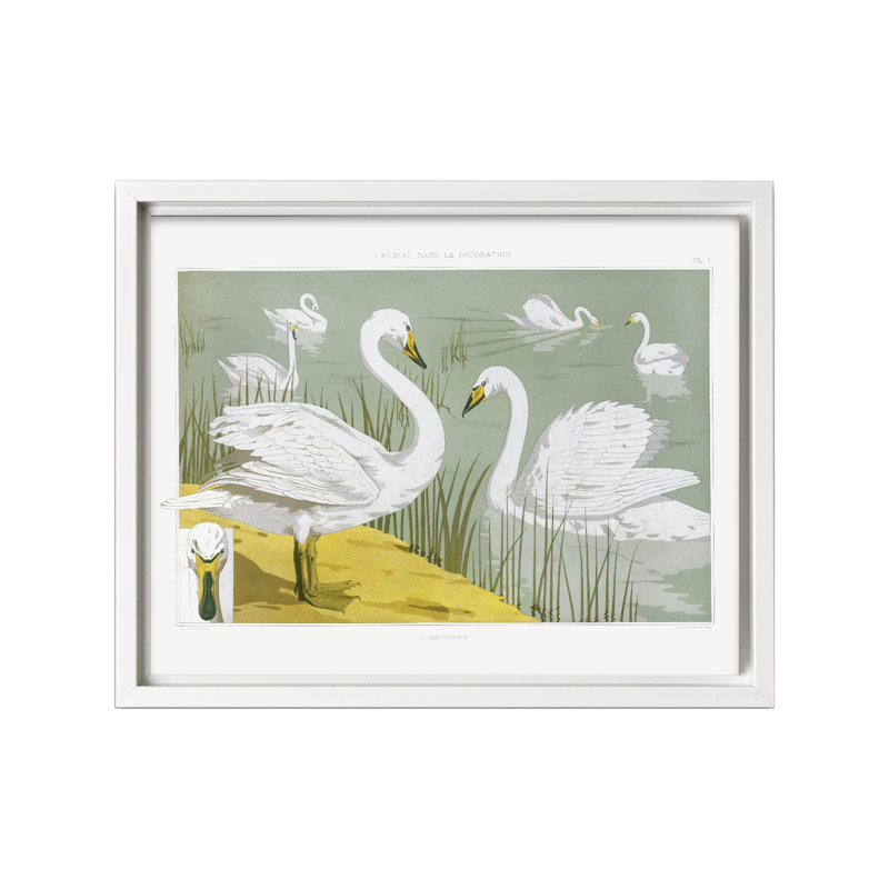 Cygnes blancs blancs, Canevas, Encadrement blanc, H 11 po x l 14 po