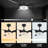Amonii 56'' Ceiling Fan with LED Lights-311854954