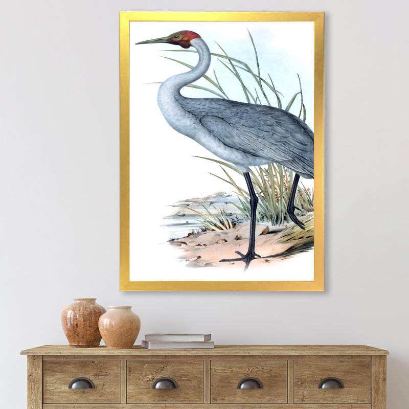 «Vintage Australian Birds V», impression sur toile encadrée, H 20 po x l 12 po x P 1po, Encadrement doré
