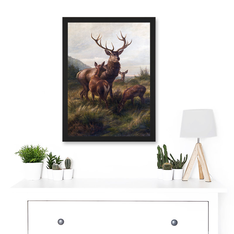 Deiker Stag Deer Antlers Doe Animal Nature - Single Picture Frame Print