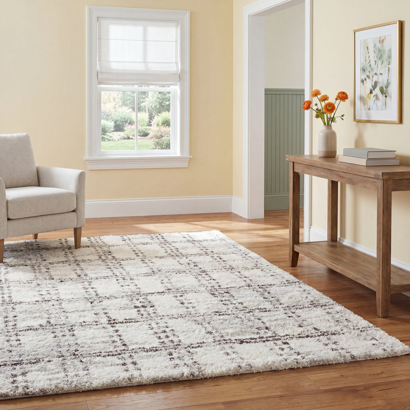 Denya Shag Cream / Grey Area Rug, Rectangle 5'3" x 7'6"