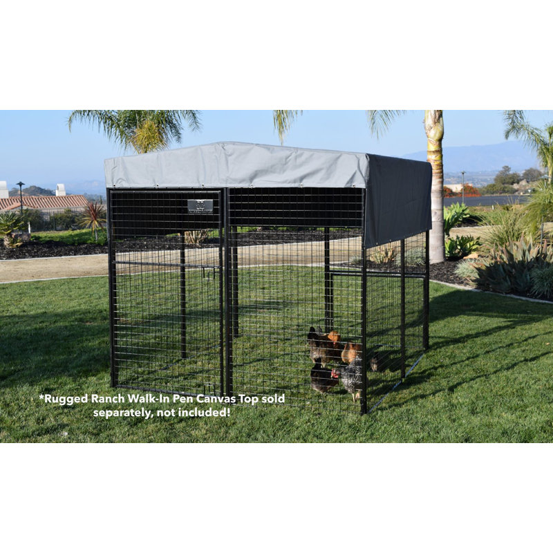 Epsilon 48.8 Square Feet Walk In Chicken Run For Up To 6 Chickens