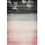 Parvez Taj - Wrapped Canvas Print-16672075