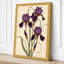 Purple Iris Study Botanical - Wrapped Canvas-2113550025-2113550029