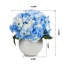 Arrangement floral d'hortensias en pot-2016984966