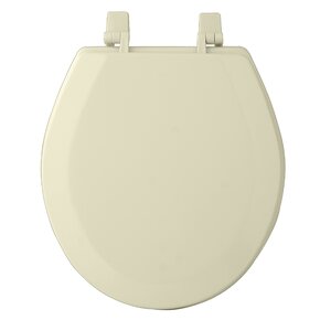 https://assets.wfcdn.com/im/79093489/resize-h300-w300%5Ecompr-r85/8259/8259248/Fantasia+Round+Toilet+Seat+and+Lid.jpg