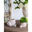 Jardinière texturée beige sable et ciment 9,5 x 8,3 x 6 pouces, parfaite pour les petits espaces décoratifs avec finition, convient aux pièces d'inspiration côtière