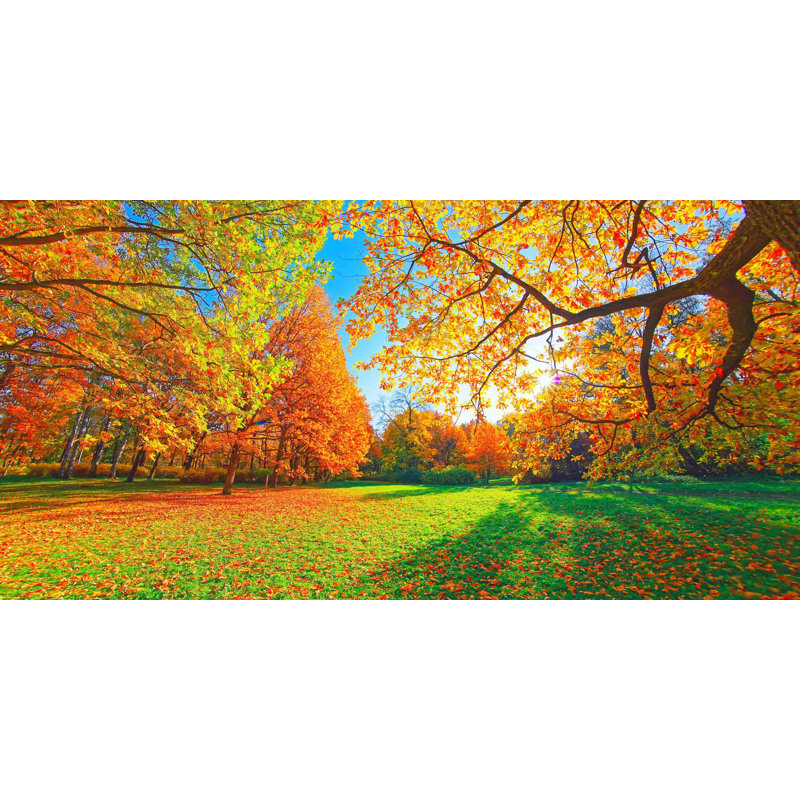 Imprimé forêt d'automne, H 20 po x l 40 po x P 5 po
