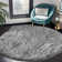 Indoor Rug