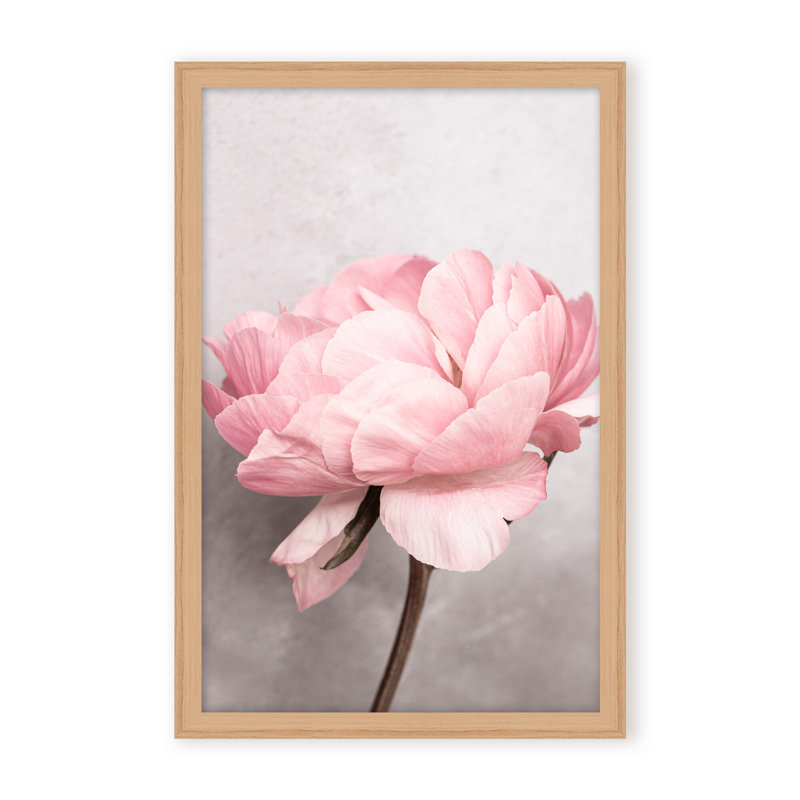 Nature Inspired Peony by  - Picture Frame Photograph on Paper, 48" H x 32" W x 1.125" D, Framed Matted Print, Gold