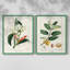 Reproduction encadrée Turpin Tropical Botanicals IX-Premium - prête à être accrochée-1420657860-1420657861