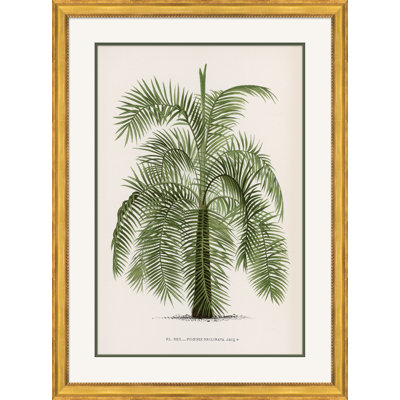 «Palms 2», peinture encadrée